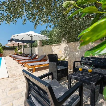 شقة Lovely In With Wifi باكوشتاني